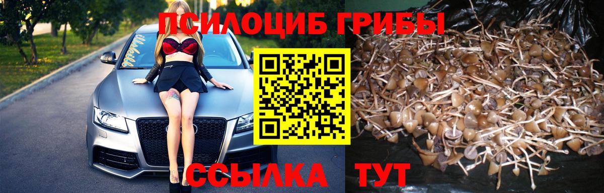 Михайловка  Галлюциногенные грибы прущие грибы  где купить наркотик  Вход с VPN 